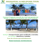 Imagen 2026-02-08 21:57