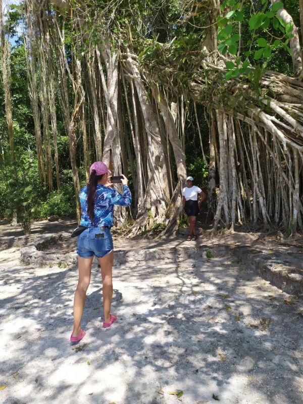 Imagen 2026-02-27 13:06