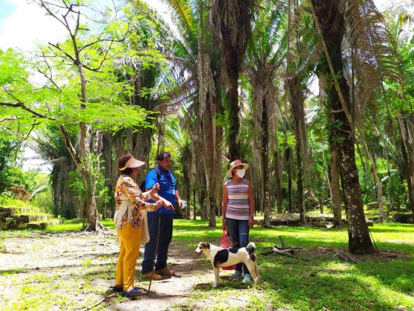 Imagen 2026-02-27 13:06