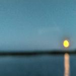 Imagen 2026-02-27 13:06