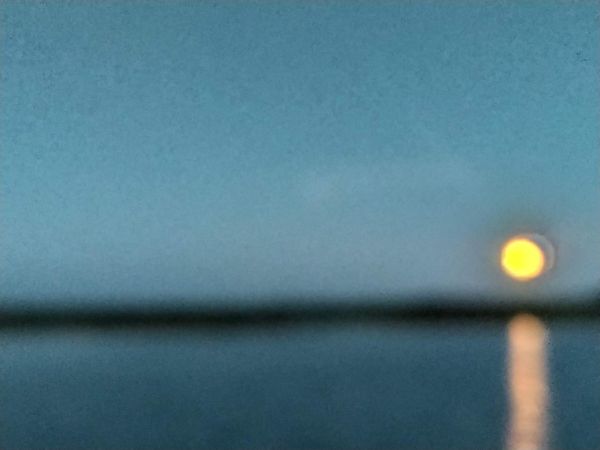 Imagen 2026-02-27 13:06