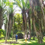 Imagen 2026-02-27 13:06