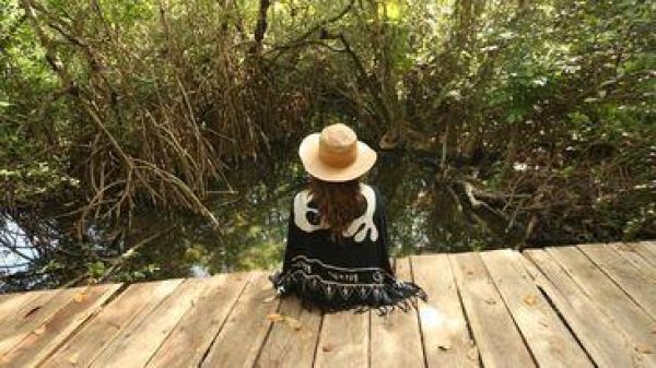 Imagen 2026-03-01 15:20