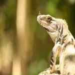 Imagen 2026-03-01 15:20