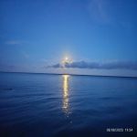 Bacalar 