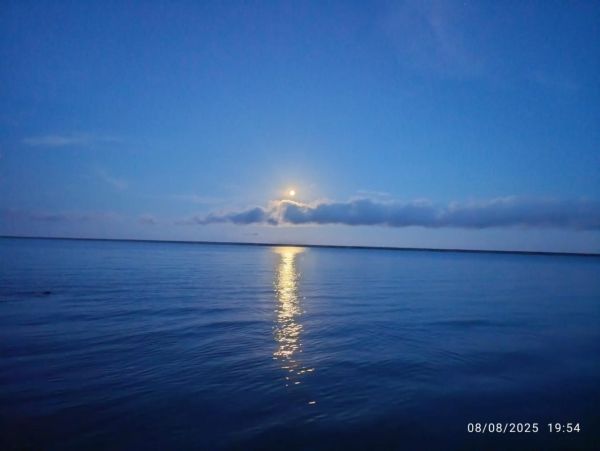 Bacalar 