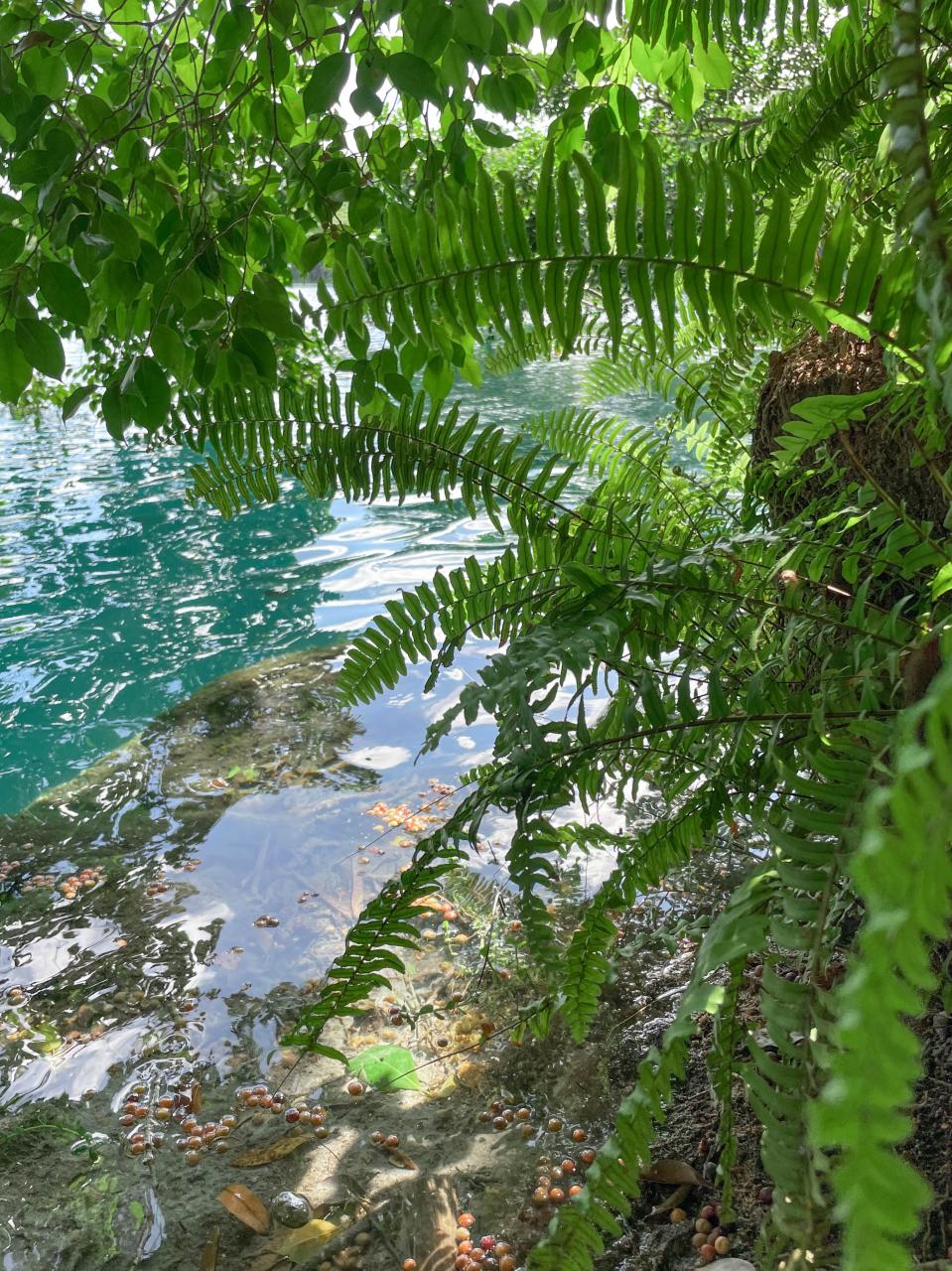 Mira a los Dioses a los Ojos a través de sus Mascarones solares: Tour a Kohunlich y Cenote Azul desde Bacalar