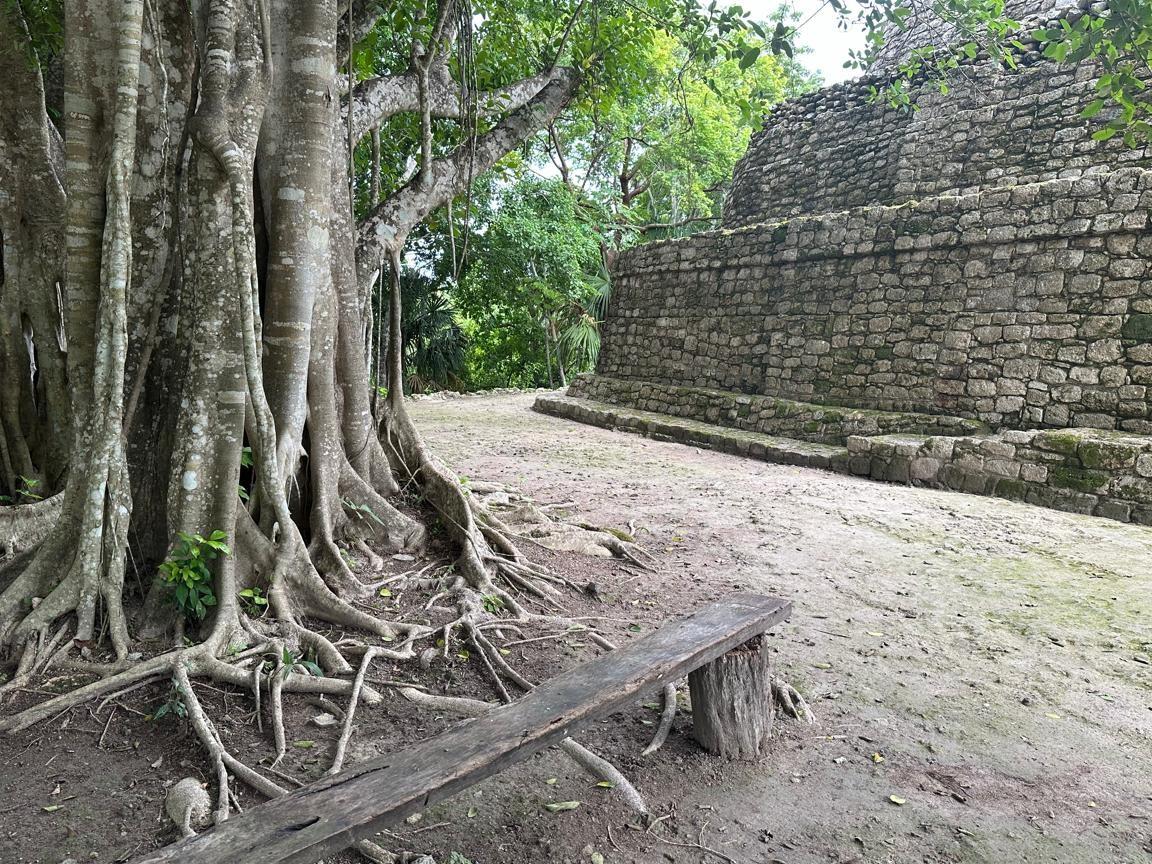 Tour a Ichkabal y Cenote Azul desde Bacalar